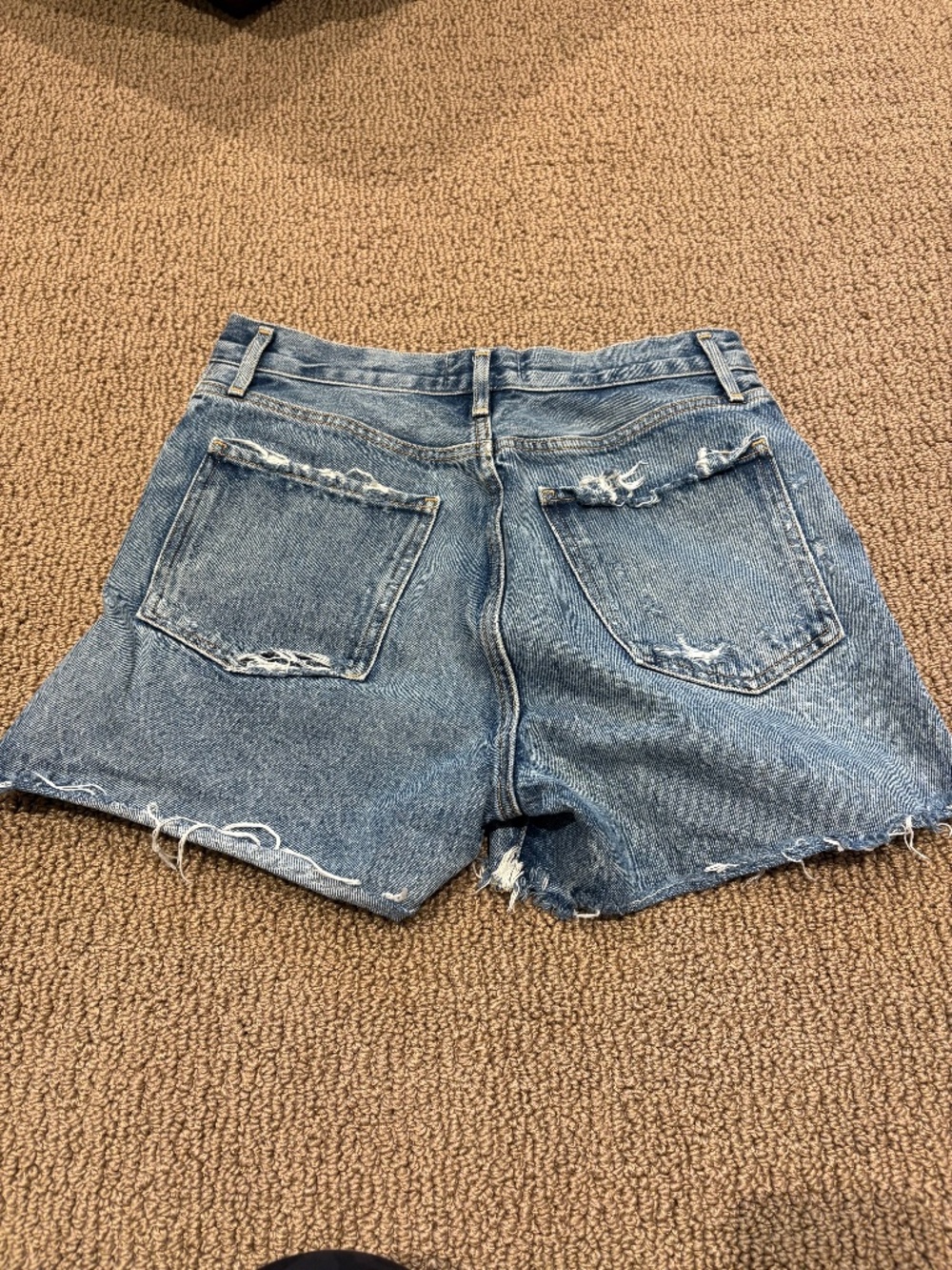 AGOLDE Dee High Rise Denim Shorts